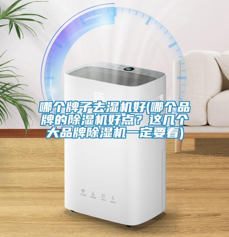 哪個牌子去濕機好(哪個品牌的亚洲深夜福利好點？這幾個大品牌亚洲深夜福利一定要看)