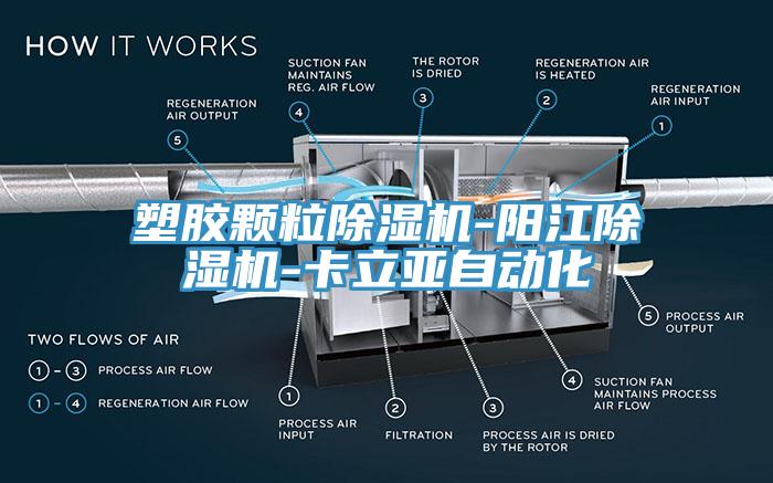 塑膠顆粒亚洲深夜福利-陽江亚洲深夜福利-卡立亞自動化