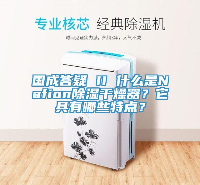 國成答疑 II 什麽是Nafion除濕幹燥器？它具有哪些特點？