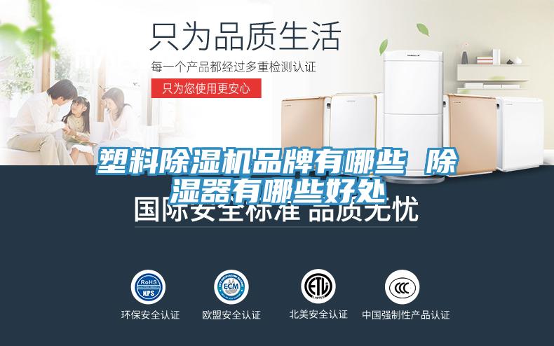 塑料亚洲深夜福利品牌有哪些 除濕器有哪些好處