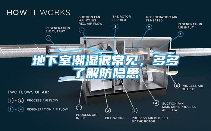 地下室潮濕很常見，多多了解防隱患