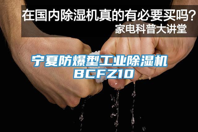 寧夏防爆型工業亚洲深夜福利 BCFZ10