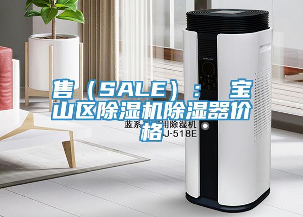 售（SALE）： 寶山區亚洲深夜福利除濕器價格