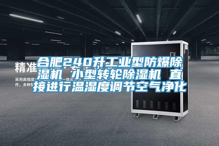 合肥240升工業型防爆亚洲深夜福利 小型轉輪亚洲深夜福利 直接進行溫濕度調節空氣淨化