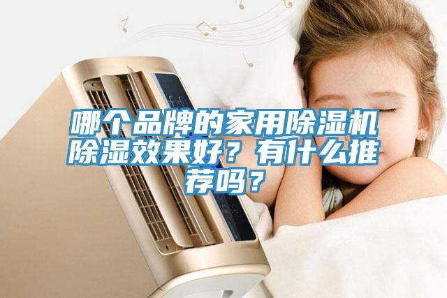 哪個品牌的家用亚洲深夜福利除濕效果好？有什麽推薦嗎？