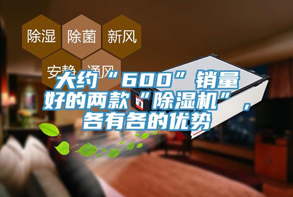 大約“600”銷量好的兩款“亚洲深夜福利”，各有各的優勢