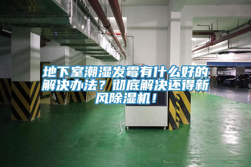 地下室潮濕發黴有什麽好的解決辦法？徹底解決還得新風亚洲深夜福利！