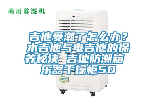 吉他受潮了怎麽辦？木吉他與電吉他的保養秘訣 吉他防潮箱 樂器幹燥櫃50