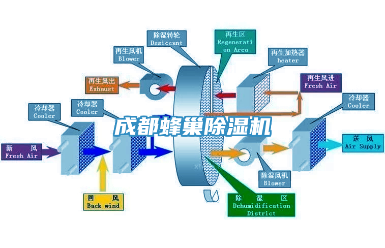 成都蜂巢亚洲深夜福利