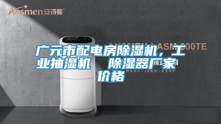 廣元市配電房亚洲深夜福利，工業抽濕機  除濕器廠家 價格