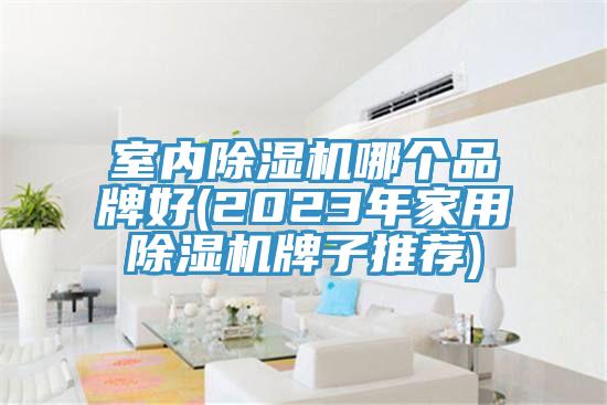 室內亚洲深夜福利哪個品牌好(2023年家用亚洲深夜福利牌子推薦)