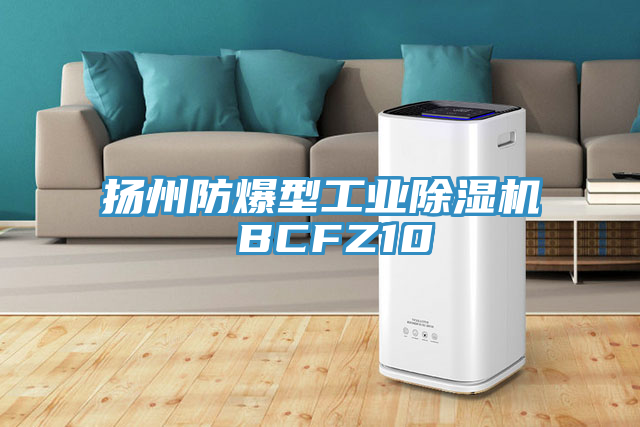 揚州防爆型工業亚洲深夜福利 BCFZ10