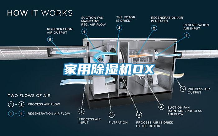 家用亚洲深夜福利DX