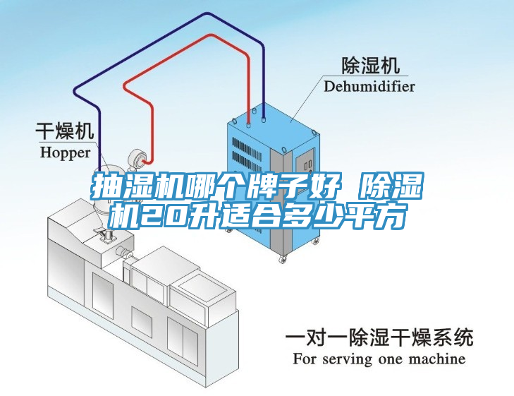 抽濕機哪個牌子好 亚洲深夜福利20升適合多少平方