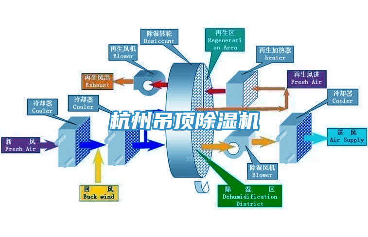 杭州吊頂亚洲深夜福利