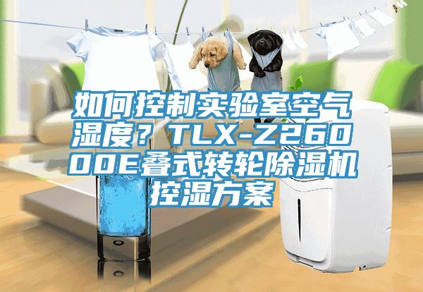 如何控製實驗室空氣濕度？TLX-Z26000E疊式轉輪亚洲深夜福利控濕方案