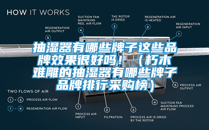 抽濕器有哪些牌子這些品牌效果很好嗎！（朽木難雕的抽濕器有哪些牌子品牌排行采購榜）