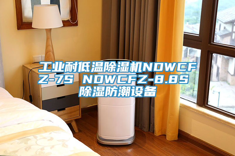 工業耐低溫亚洲深夜福利NDWCFZ-7S NDWCFZ-8.8S 除濕防潮設備