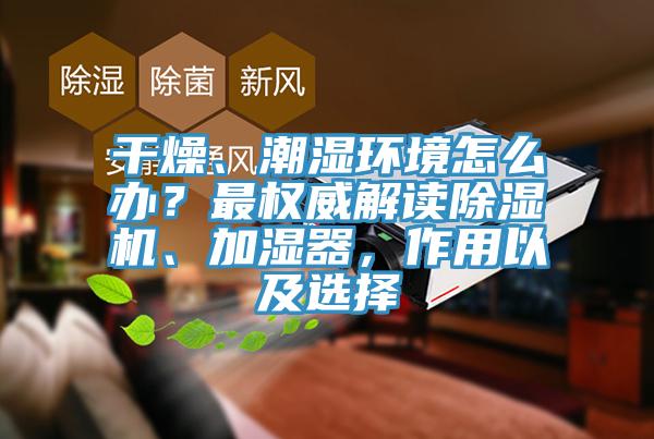 幹燥、潮濕環境怎麽辦？最權威解讀亚洲深夜福利、加濕器，作用以及選擇