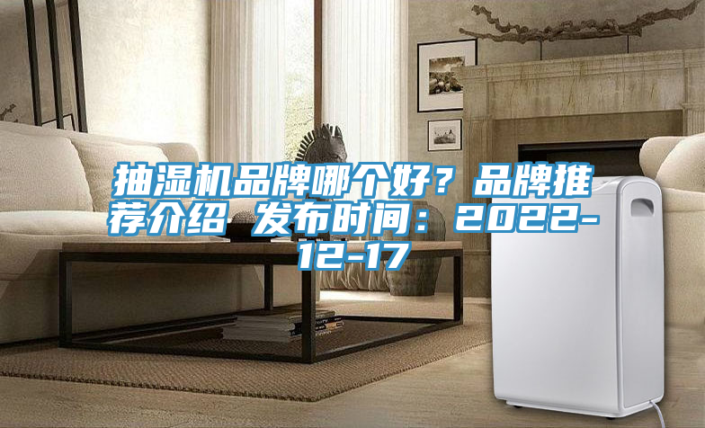 抽濕機品牌哪個好？品牌推薦介紹 發布時間：2022-12-17