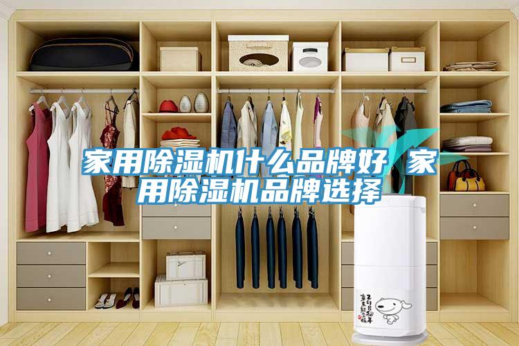 家用亚洲深夜福利什麽品牌好 家用亚洲深夜福利品牌選擇