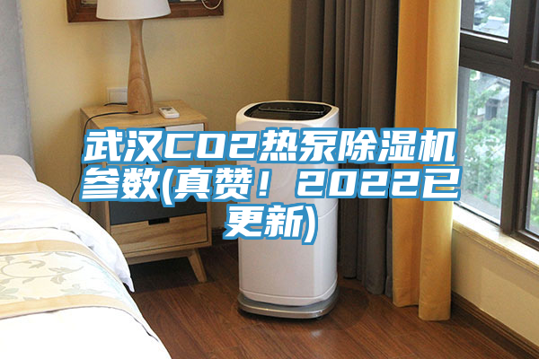 武漢CO2熱泵亚洲深夜福利參數(真讚！2022已更新)