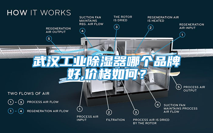 武漢工業除濕器哪個品牌好,價格如何？