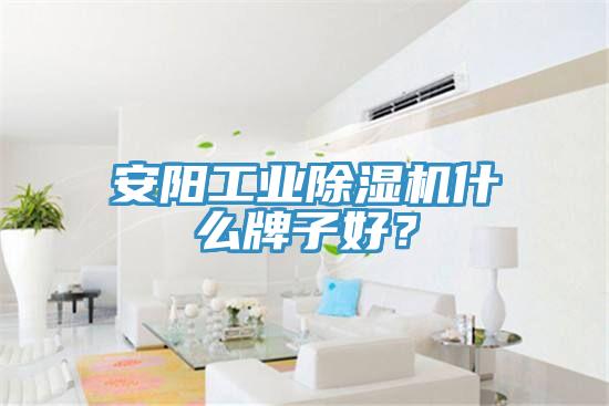 安陽工業亚洲深夜福利什麽牌子好？