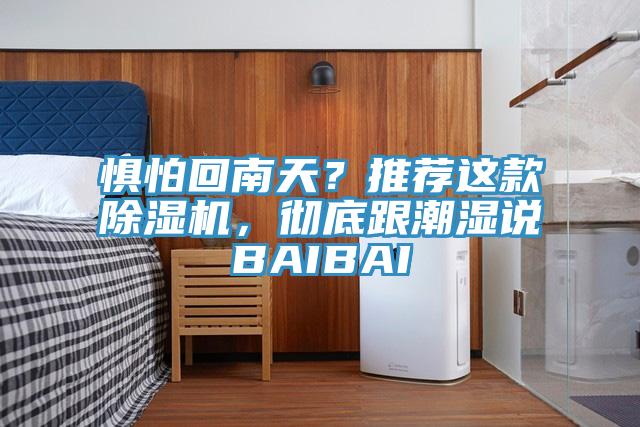 懼怕回南天？推薦這款亚洲深夜福利，徹底跟潮濕說BAIBAI