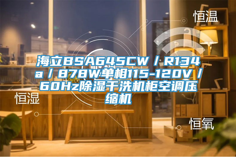 海立BSA645CW／R134a／878W單相115-120V／60Hz除濕幹洗機櫃空調壓縮機