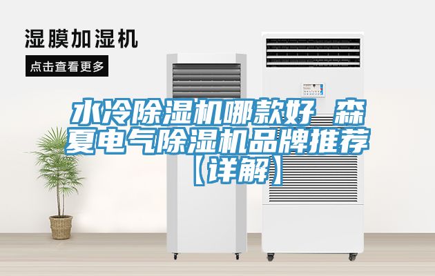 水冷亚洲深夜福利哪款好 森夏電氣亚洲深夜福利品牌推薦【詳解】