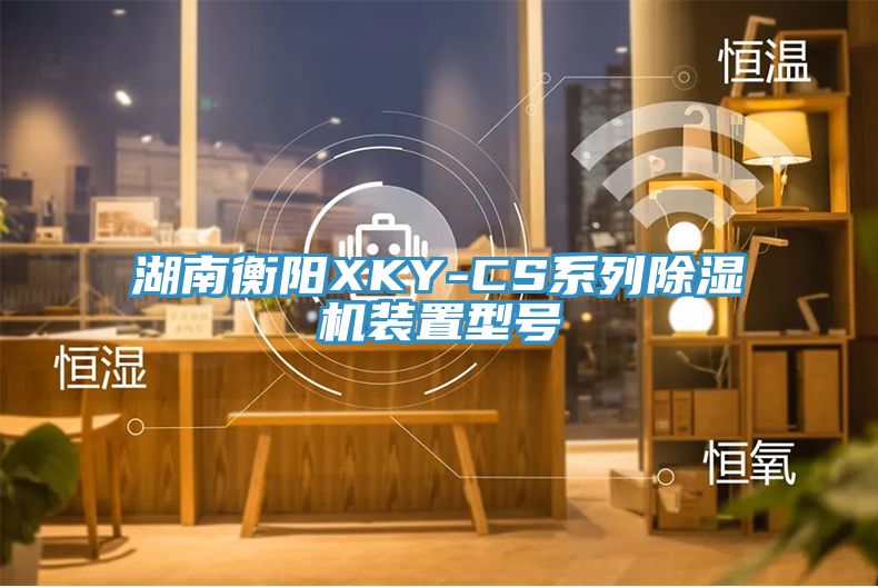 湖南衡陽XKY-CS係列亚洲深夜福利裝置型號