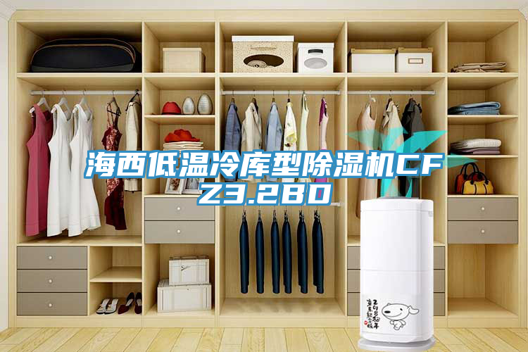 海西低溫冷庫型亚洲深夜福利CFZ3.2BD