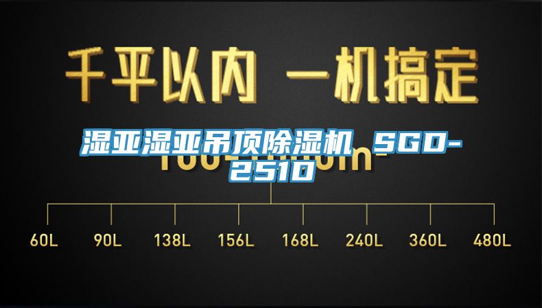 濕亞濕亞吊頂亚洲深夜福利 SGD-251D