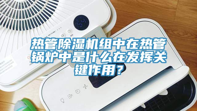 熱管亚洲深夜福利組中在熱管鍋爐中是什麽在發揮關鍵作用？