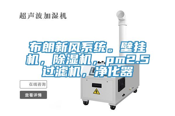 布朗新風係統。壁掛機，亚洲深夜福利，pm2.5過濾機，淨化器