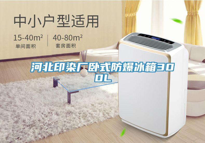 河北印染廠臥式防爆冰箱300L