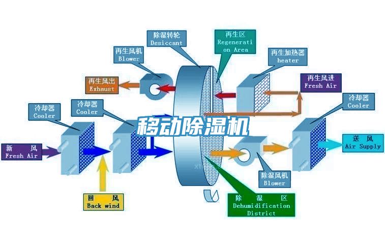 移動亚洲深夜福利