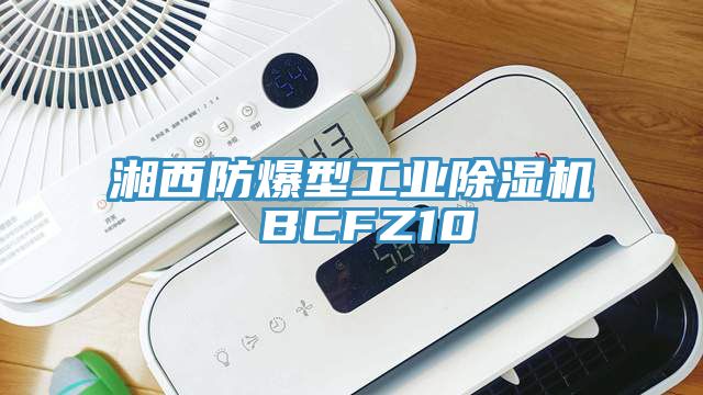 湘西防爆型工業亚洲深夜福利 BCFZ10