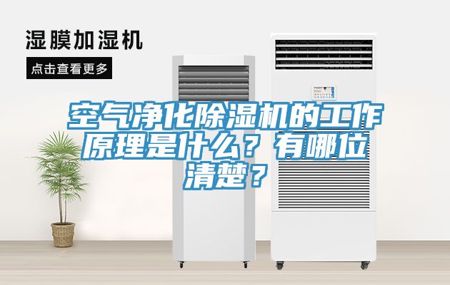 空氣淨化亚洲深夜福利的工作原理是什麽？有哪位清楚？