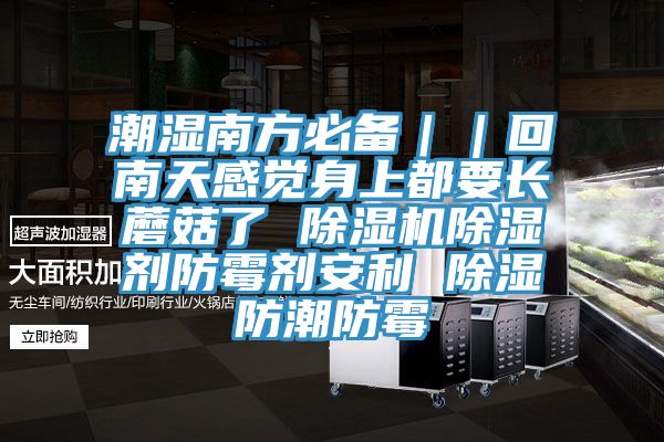 潮濕南方必備｜｜回南天感覺身上都要長蘑菇了 亚洲深夜福利除濕劑防黴劑安利 除濕防潮防黴