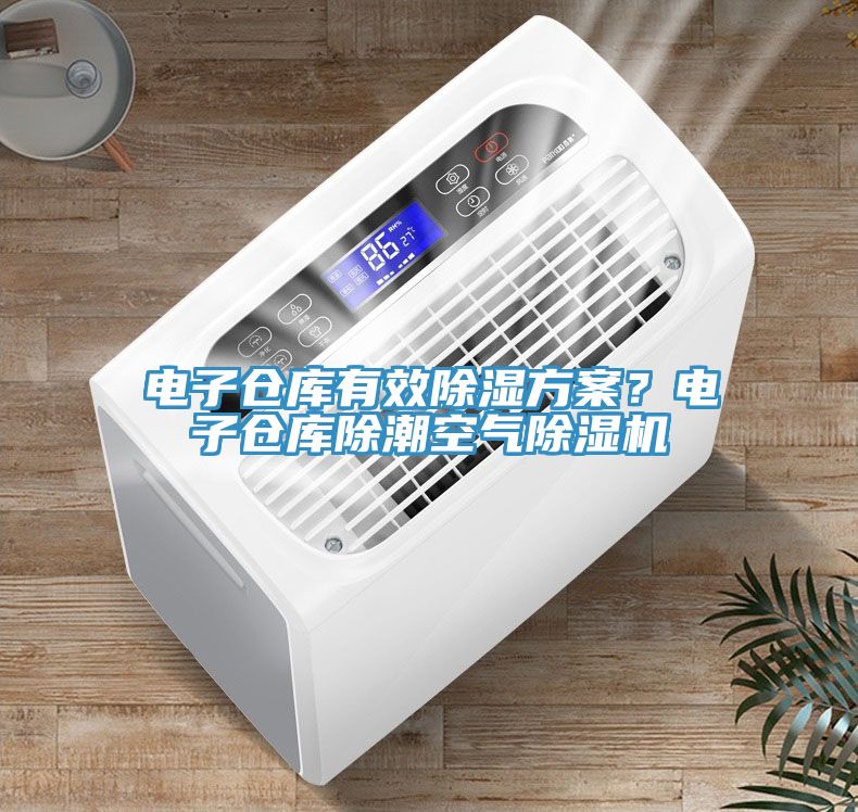 電子倉庫有效除濕方案？電子倉庫除潮空氣亚洲深夜福利