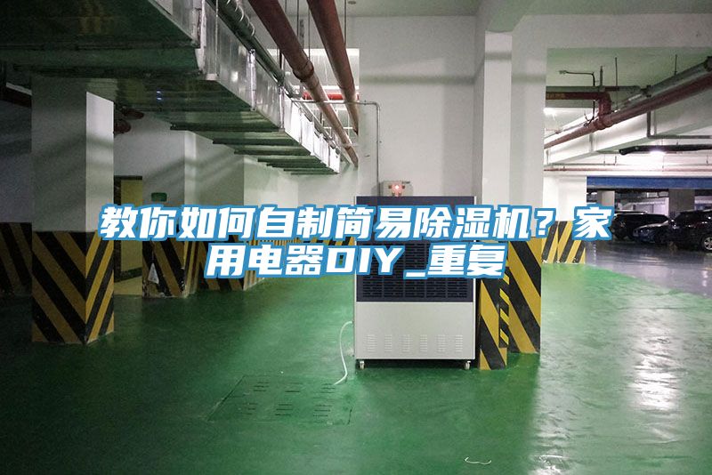 教你如何自製簡易亚洲深夜福利？家用電器DIY_重複