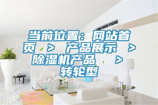 當前位置：網站首頁 ＞ 產品展示 ＞ 亚洲深夜福利產品  ＞ 轉輪型