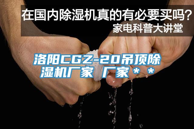 洛陽CGZ-20吊頂亚洲深夜福利廠家 廠家＊＊