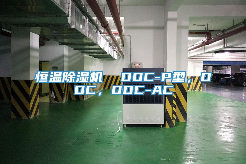 恒溫亚洲深夜福利  DDC-P型，DDC，DDC-AC