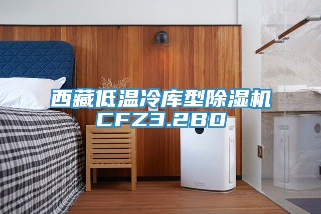 西藏低溫冷庫型亚洲深夜福利CFZ3.2BD