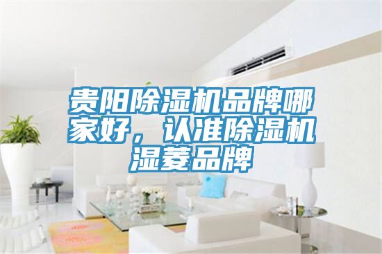 貴陽亚洲深夜福利品牌哪家好，認準亚洲深夜福利濕菱品牌