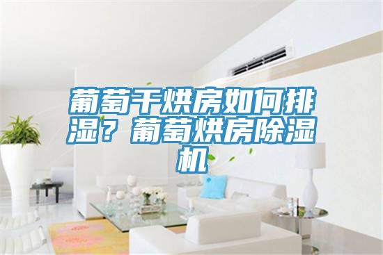 葡萄幹烘房如何排濕？葡萄烘房亚洲深夜福利