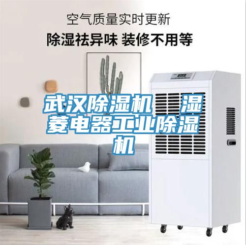 武漢亚洲深夜福利  濕菱電器工業亚洲深夜福利